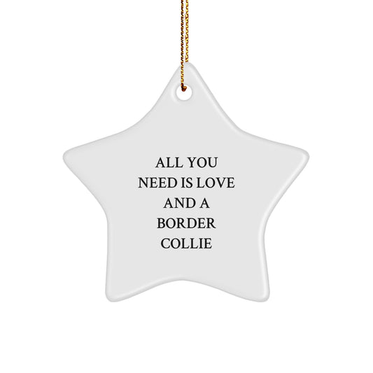 Funny Border Collie Dog Gifts from Family to Friends for Christmas, 'All You Need Is Love And A Border Collie' Star Ornament, Gifts for Men, Women, and Coworkers - Image 1