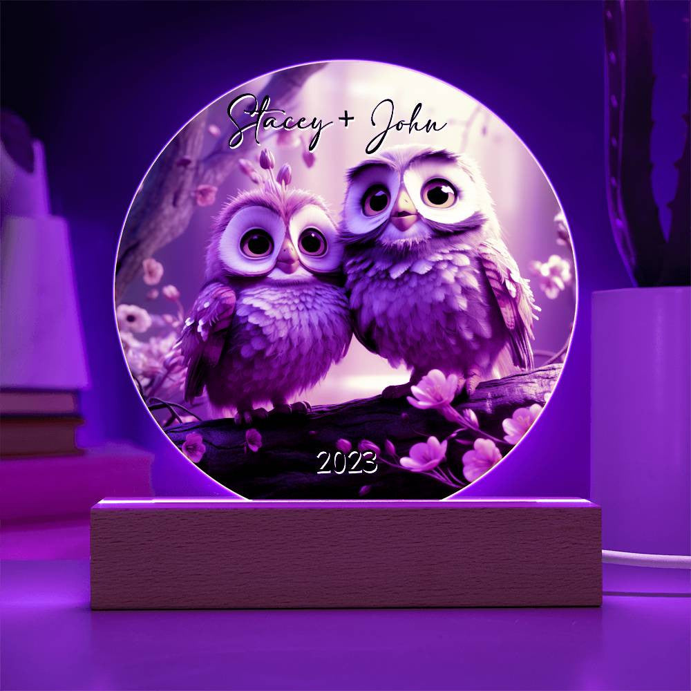 Owl Love Circle Acrylic Plaque