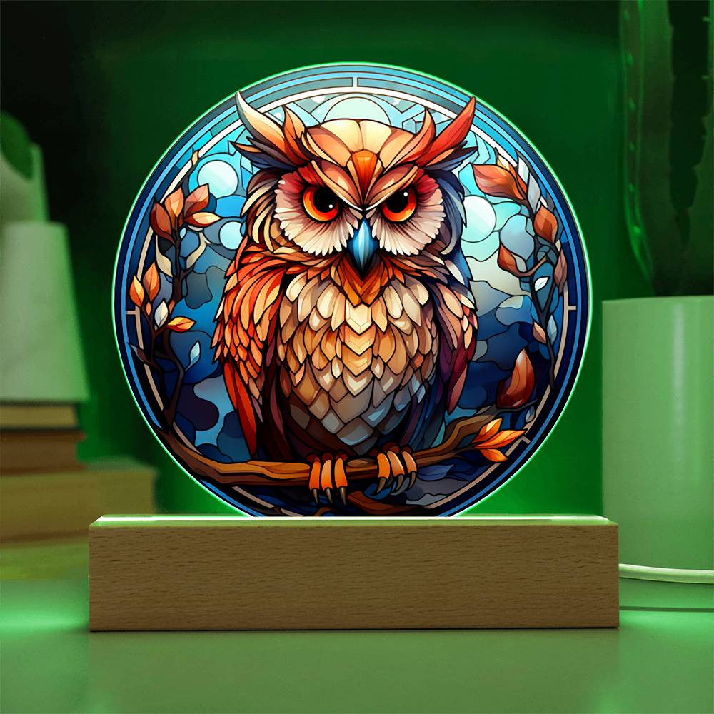 Stained Glass Owl Acrylic Circle Plaque