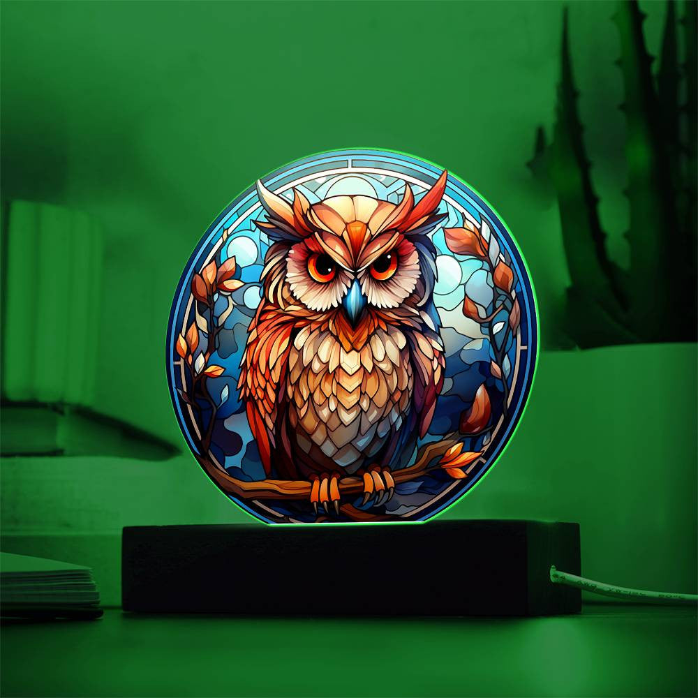 Stained Glass Owl Acrylic Circle Plaque