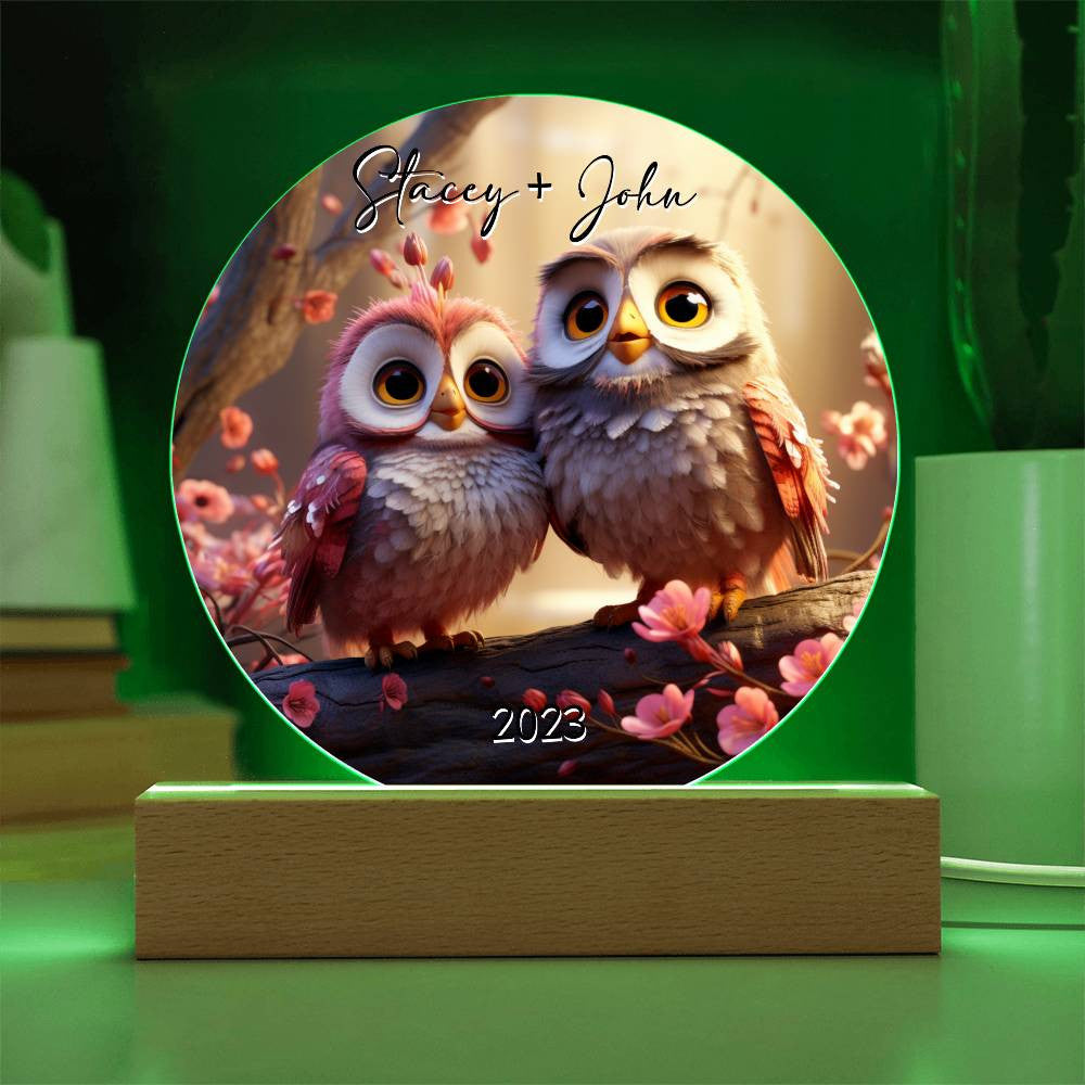 Owl Love Circle Acrylic Plaque