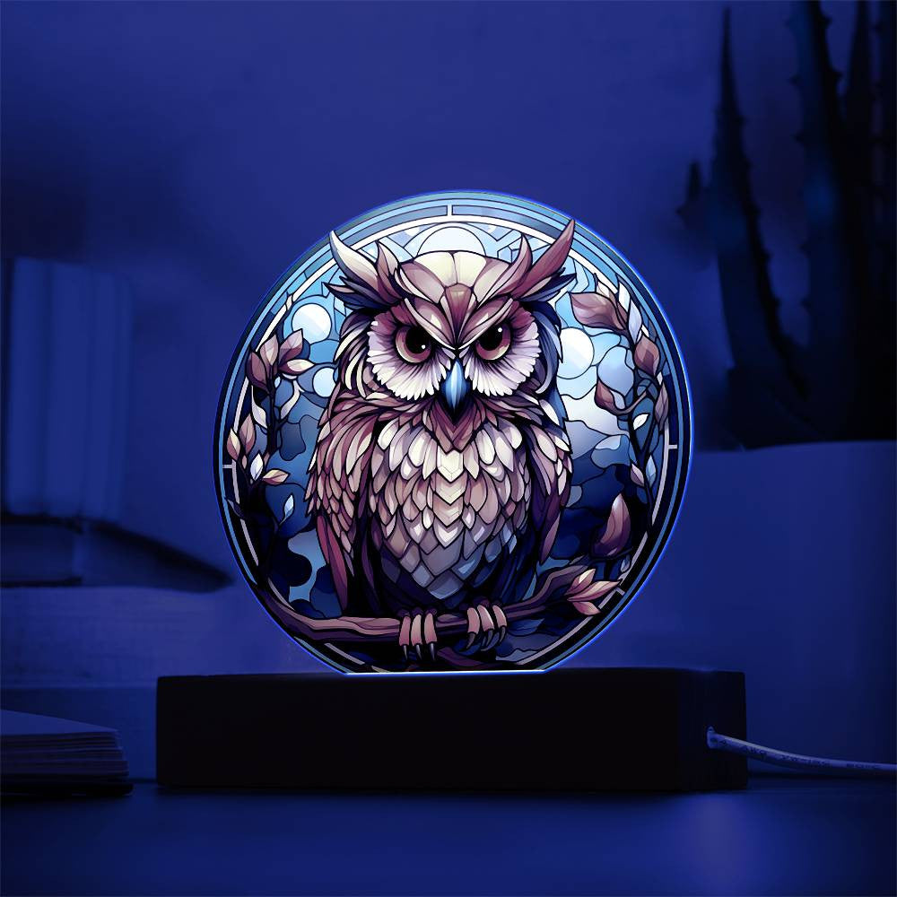 Stained Glass Owl Acrylic Circle Plaque